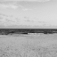 Picture of BEACH LIFE