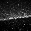 Picture of BLACK