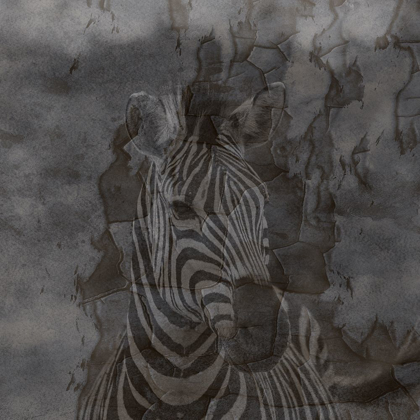 Picture of ZEBRA ABSTRACT