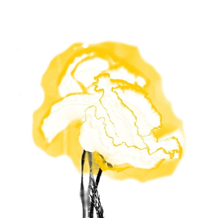 Picture of PLANT BLOOM 2