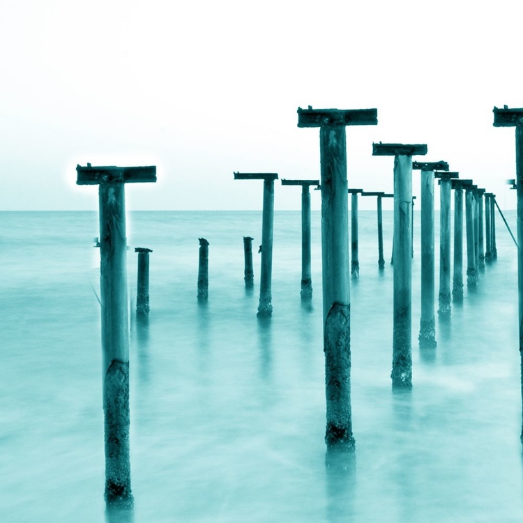 Picture of BAY WOOD 1