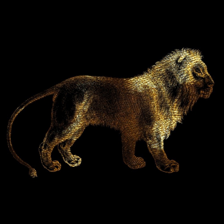 Picture of LION