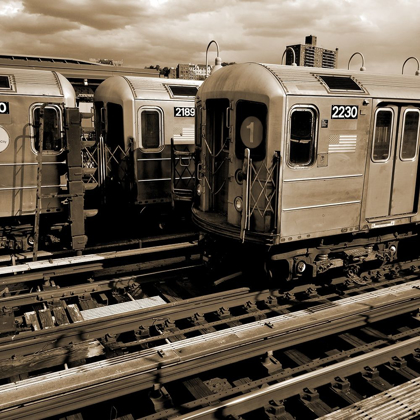 Picture of BRONX TRAINS
