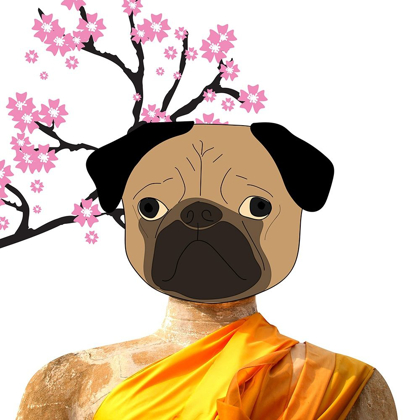 Picture of DOG MONK