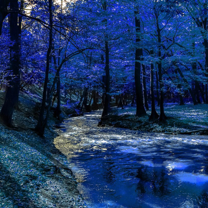 Picture of MYSTICAL BLUE RAVINE