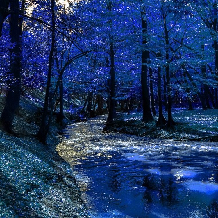 Picture of MYSTICAL BLUE RAVINE