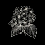 Picture of BLACK SILK 3