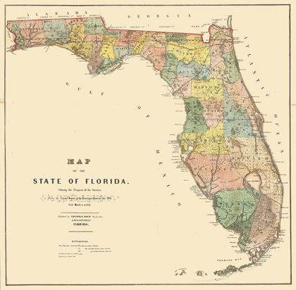Picture of FLORIDA - DREW 1856 