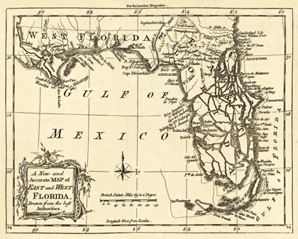 Picture of FLORIDA -1765