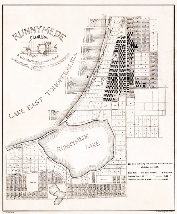 Picture of RUNNYMEDE FLORIDA - ALDRICH 1887 