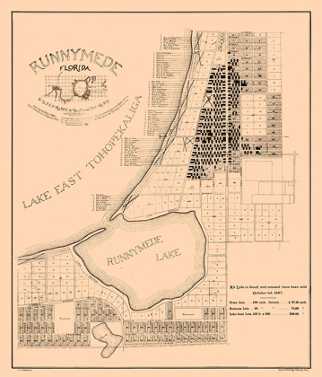 Picture of RUNNYMEDE COUNTY FLORIDA - ALDRICH 1887 