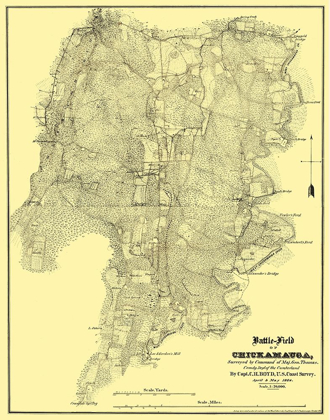 Picture of CHICKAMAUGA GEORGIA BATTLEFIELD - BOYD 1864 