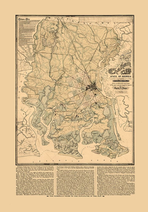 Picture of CHATHAM COUNTY GEORGIA - PLATEN 1875 