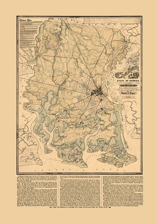 Picture of CHATHAM COUNTY GEORGIA - PLATEN 1875 