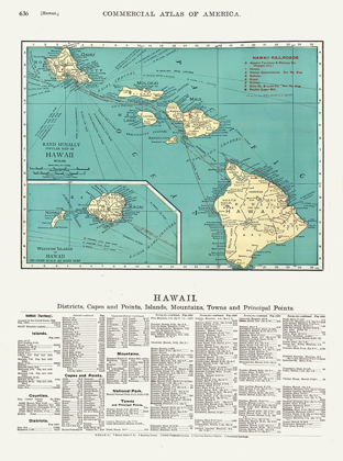 Picture of HAWAII - RAND MCNALLY 1902 
