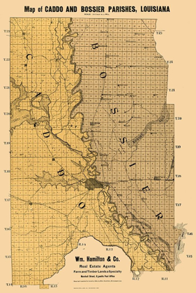 Picture of CADDO BOSSIER PARISHES LOUISIANA - KENYON 1904 