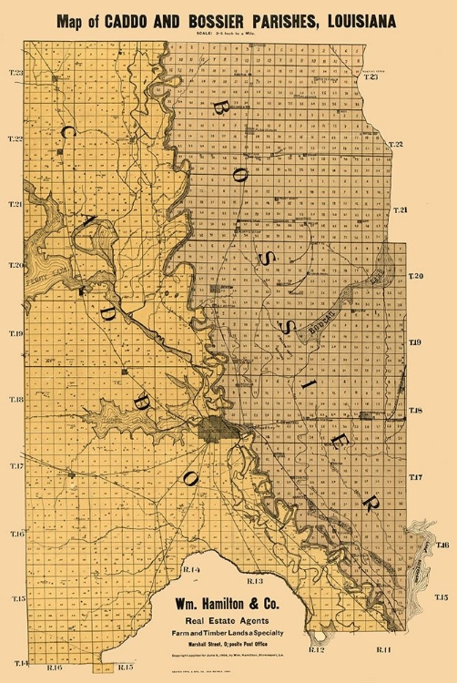 Picture of CADDO BOSSIER PARISHES LOUISIANA - KENYON 1904 