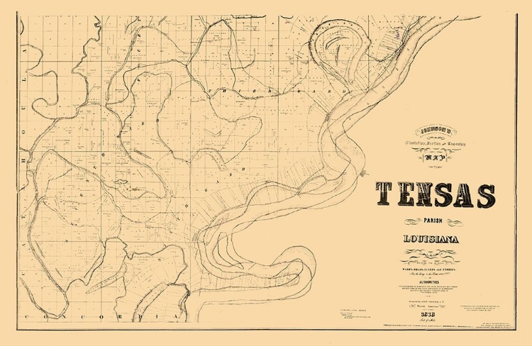 Picture of TENSAS PARISH LOUISIANA - JOHNSON 1873 