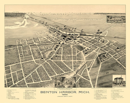 Picture of BENTON HARBOR MICHIGAN - PAULI 1889 