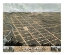 Picture of OWATONNA MINNESOTA - STONER 1870 