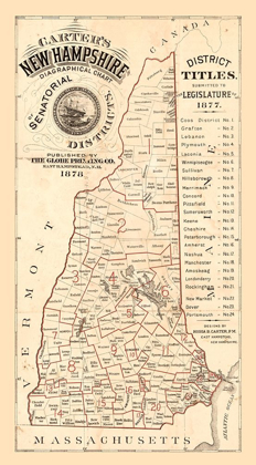 Picture of NEW HAMPSHIRE - CARTER 1878 