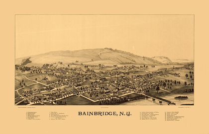 Picture of BAINBRIDGE NEW YORK - BURLEIGH 1889 