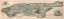 Picture of NEW YORK CITY NEW YORK - VIELE 1865 