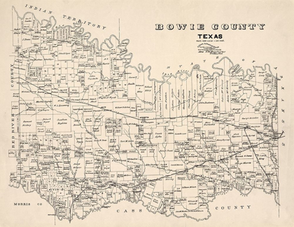 Picture of BOWIE COUNTY TEXAS - ABRAMS 1894 