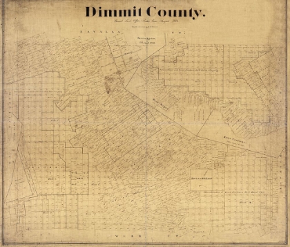 Picture of DIMMIT COUNTY TEXAS - BEAUMONT 1894 