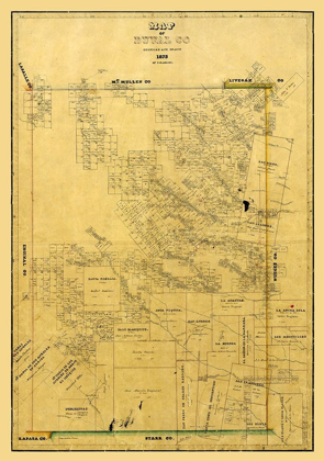 Picture of DUVAL COUNTY TEXAS - ARLITT 1875 