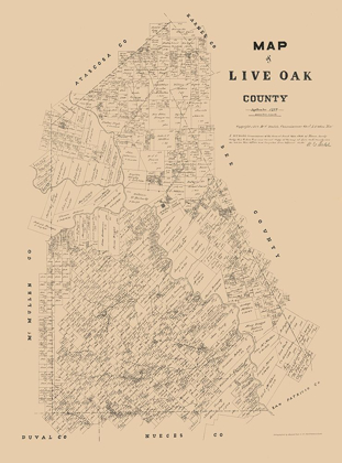 Picture of LIVE OAK COUNTY TEXAS - WALSH 1879 