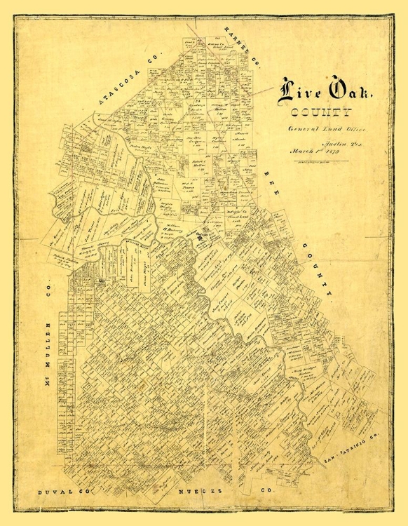 Picture of LIVE OAK COUNTY TEXAS -1879