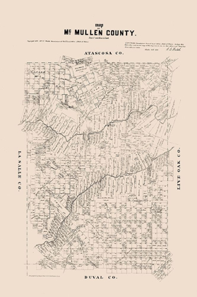 Picture of MCMULLEN COUNTY TEXAS - WALSH 1879 