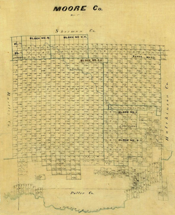 Picture of MOORE COUNTY TEXAS -1878