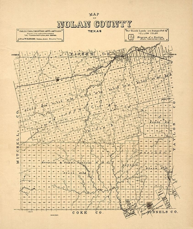 Picture of NOLAN COUNTY TEXAS -1890