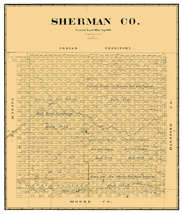 Picture of SHERMAN COUNTY TEXAS - BEAUMONT 1889 