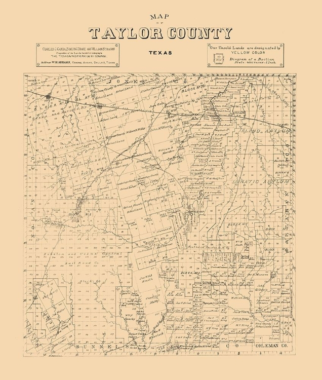 Picture of TAYLOR COUNTY TEXAS - ABRAMS 1890 
