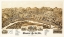 Picture of BUENA VISTA - 1891