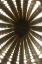 Picture of LIGHTS I