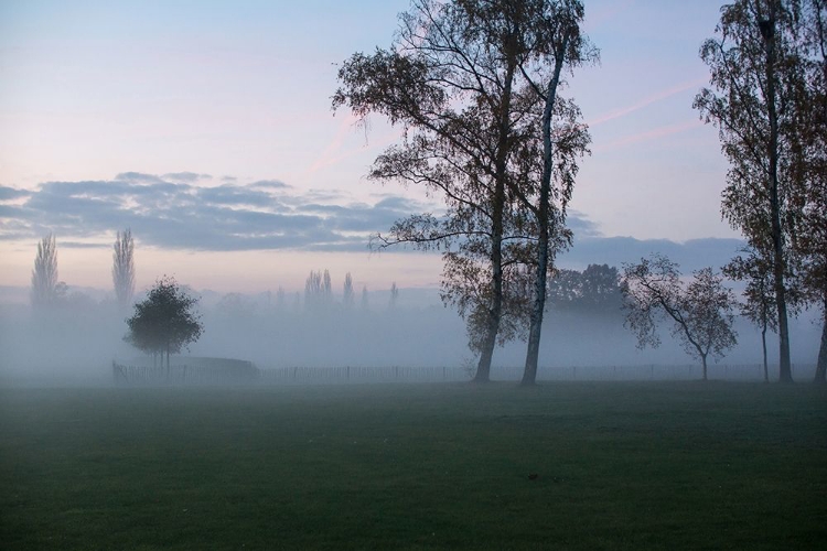 Picture of FOGGY MORNING I