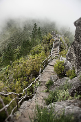 Picture of BRIDGE TO THE CLOUDS