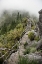 Picture of BRIDGE TO THE CLOUDS