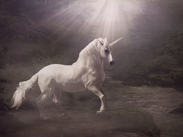 Picture of UNICORN