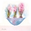 Picture of HYACINTHS