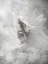 Picture of FAIRY 47