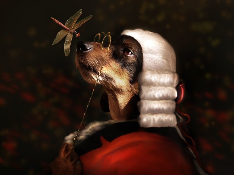 Picture of SIR DASHOUND