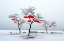 Picture of RED UMBRELLAS