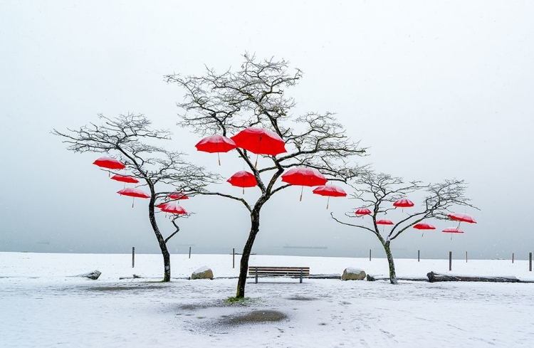 Picture of RED UMBRELLAS