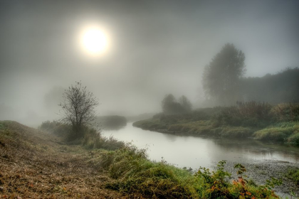 Picture of FOGGY RIVER