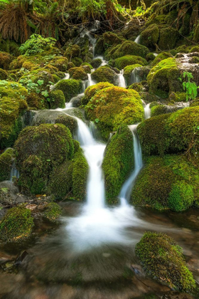 Picture of WATERFALL I